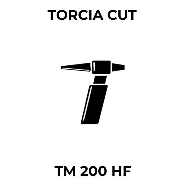 Torcia Saldatrice TM 200 HF